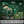 JYRUE T-Rex Dinosaur Building Set, 947-Piece Tyrannosaurus Rex Model Building Blocks Kit with Movable Jaw, DIY Dinosaur Construction Toy for Kids, Boys, Girls and Adults, Ages 6+